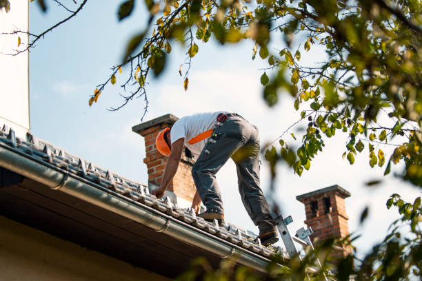 Best Roofing Contractor Near Me  in Benton Harbor, MI