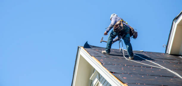 Best Roof Gutter Cleaning  in Benton Harbor, MI
